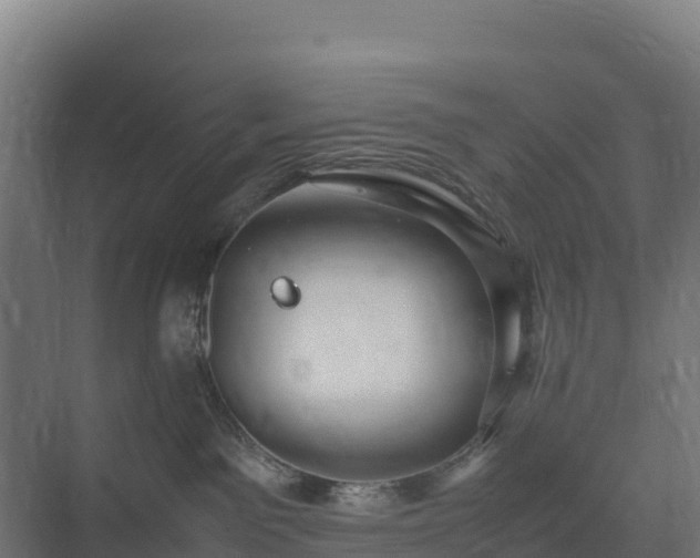 X0000075380141200609151738