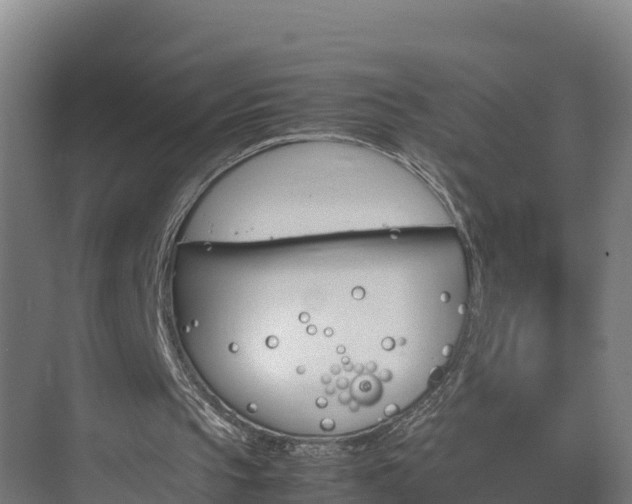 X0000075380145200609151737