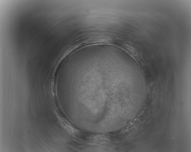 X0000075380146200609151737