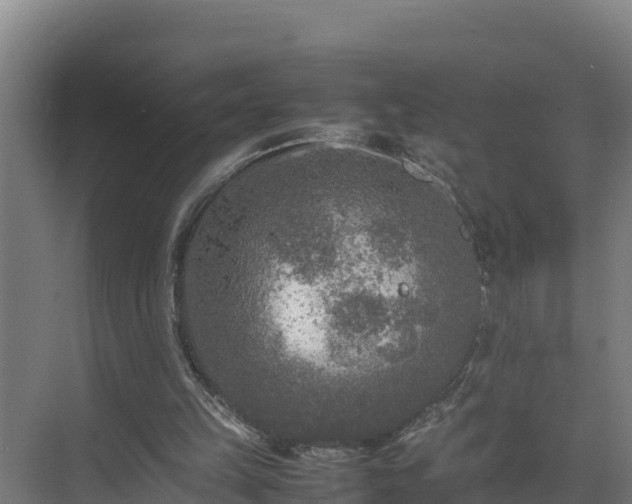 X0000075380149200609151737