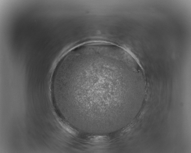 X0000075380151200609151737