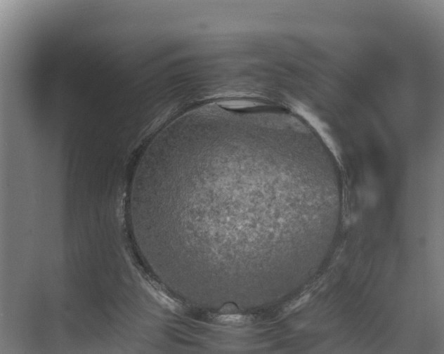 X0000075380153200609151737