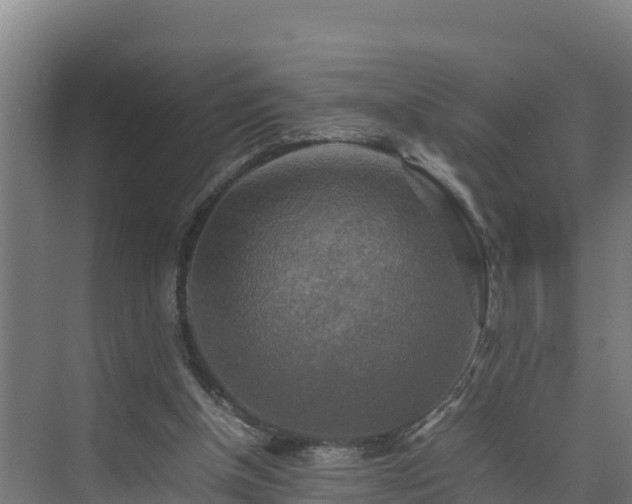 X0000075380154200609151737