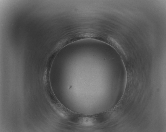 X0000075380163200609151738