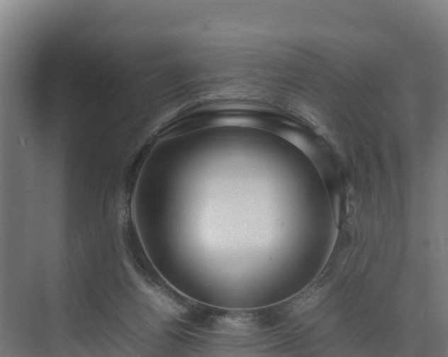 X0000075380164200609151738