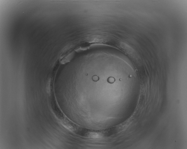 X0000075380167200609151738