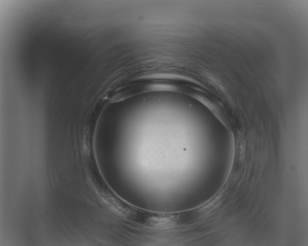 X0000075380170200609151738