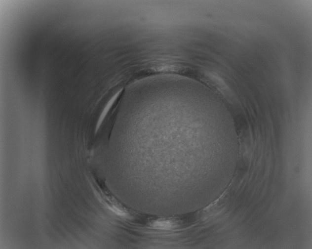 X0000075380171200609151738