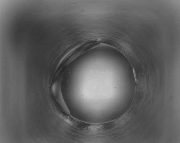 X0000075380172200609151738