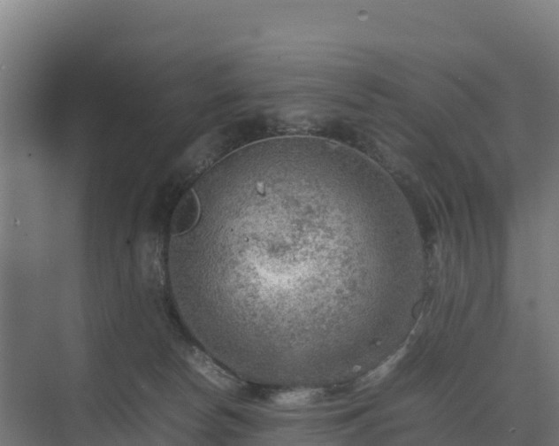 X0000075380178200609151738