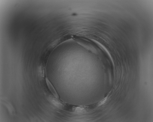 X0000075380180200609151738