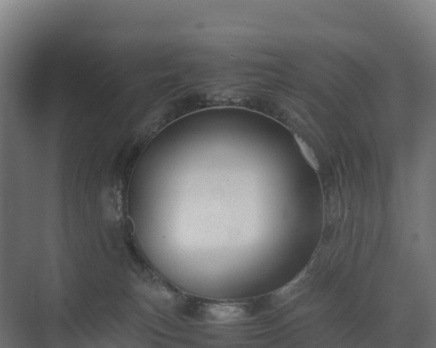 X0000075380183200609151738