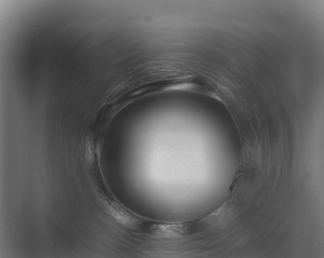 X0000075380188200609151738