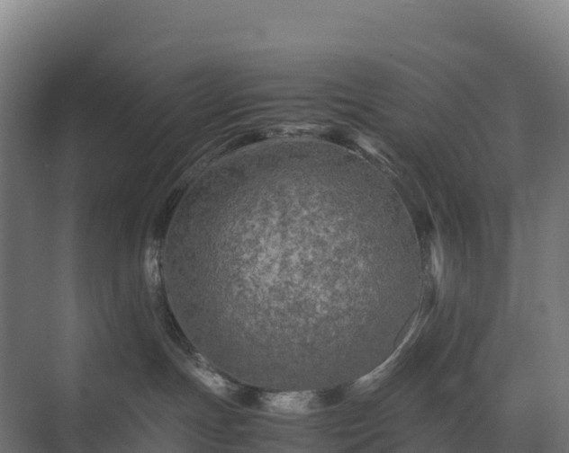 X0000075380191200609151738