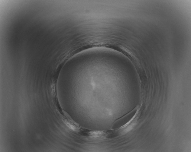 X0000075380192200609151738