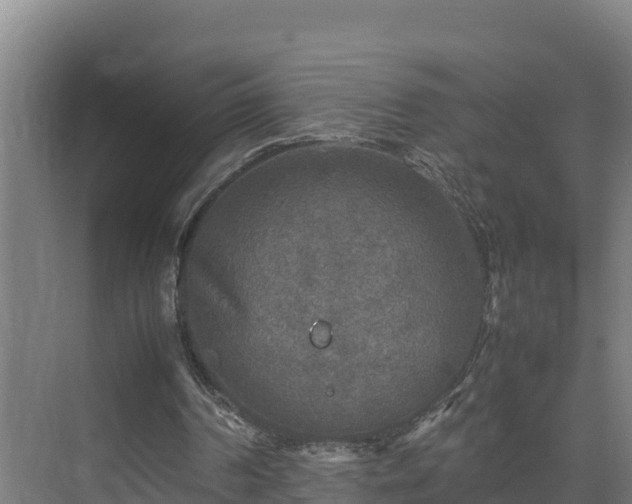 X0000075380194200609151737