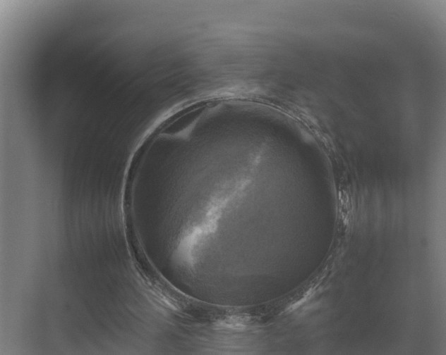 X0000075380196200609151737