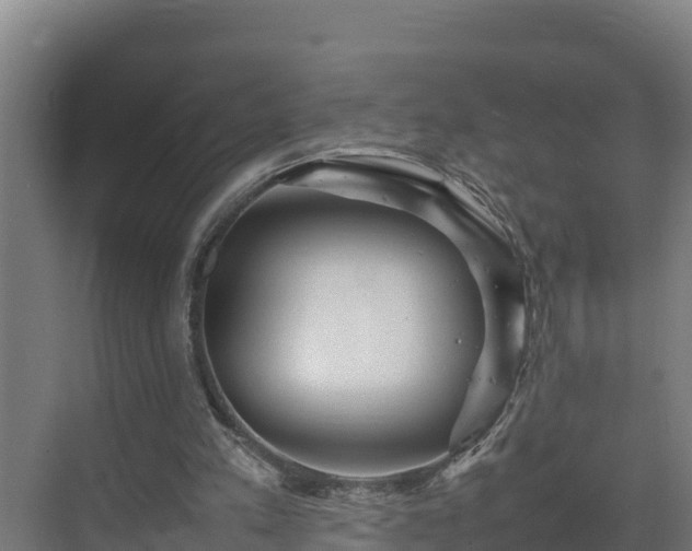 X0000075380197200609151737