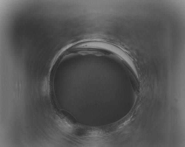 X0000075380200200609151737