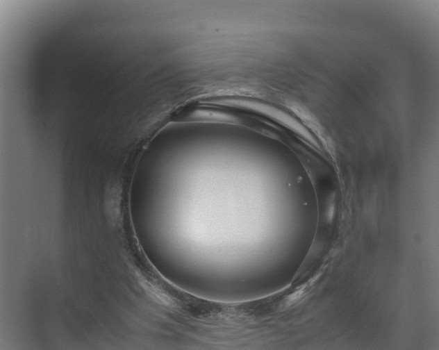 X0000075380201200609151737