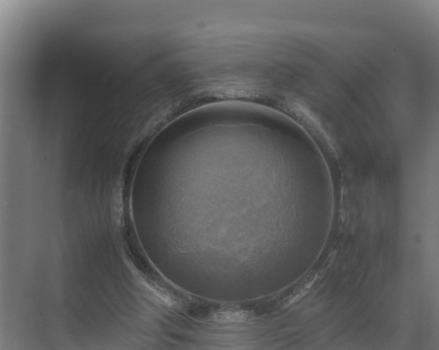 X0000075380202200609151737