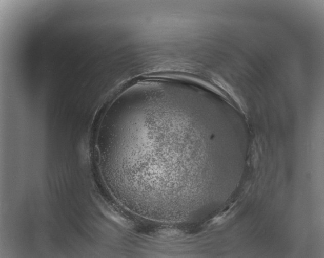 X0000075380203200609151737