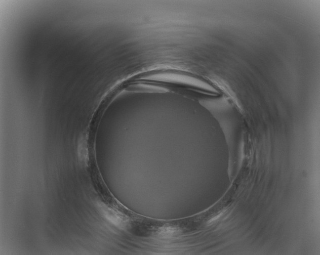 X0000075380204200609151737