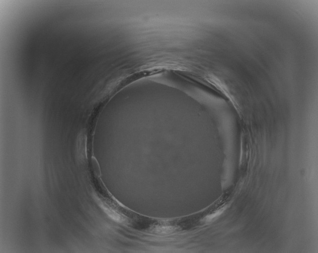 X0000075380205200609151737