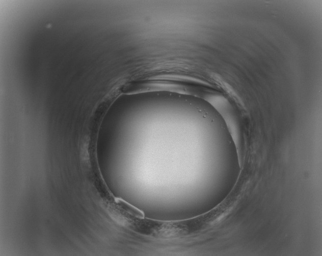 X0000075380209200609151737