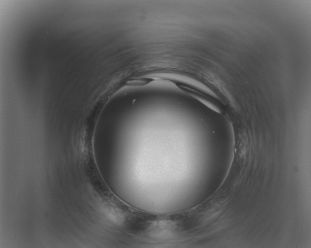 X0000075380212200609151737