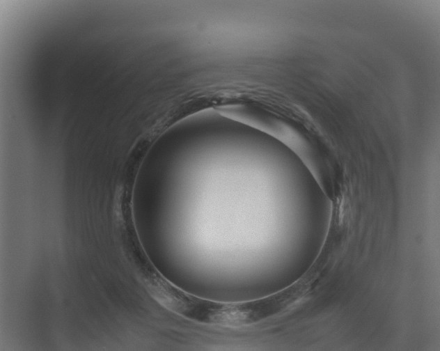 X0000075380217200609151737