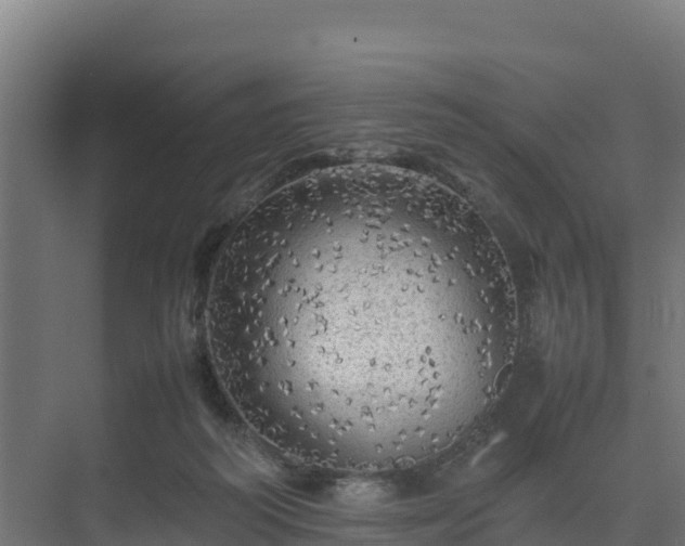 X0000075380218200609151737