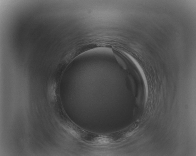 X0000075380219200609151737