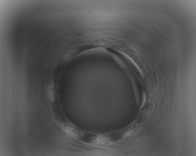 X0000075380223200609151737