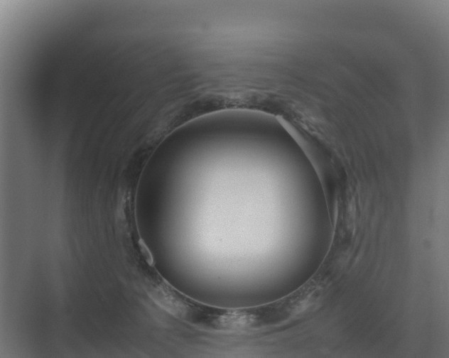 X0000075380225200609151737