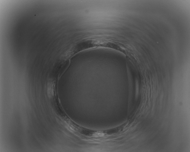 X0000075380227200609151737