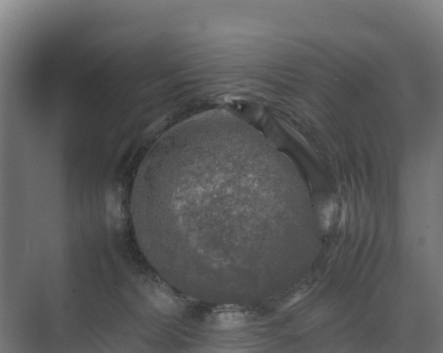 X0000075380228200609151737