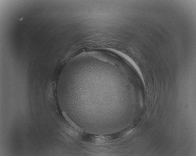 X0000075380229200609151737