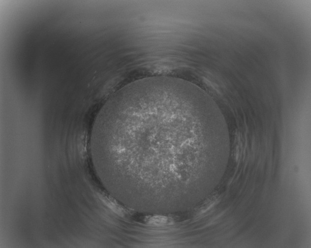 X0000075380230200609151737