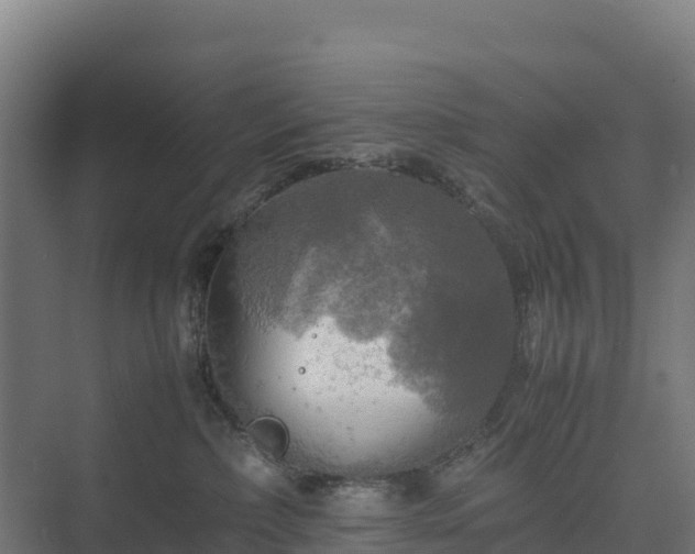 X0000075380236200609151737