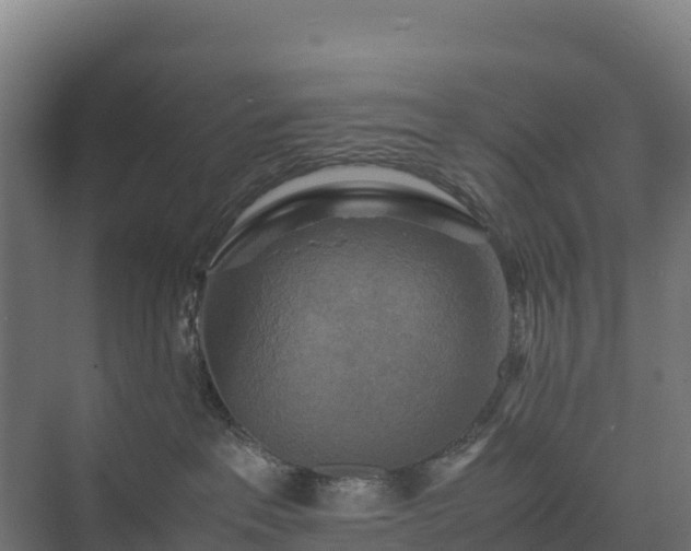 X0000075380237200609151737