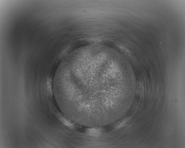 X0000075380238200609151737