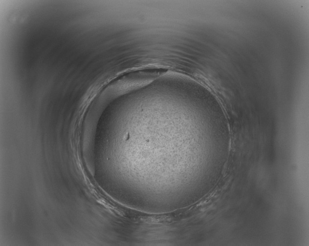 X0000075380241200609151736