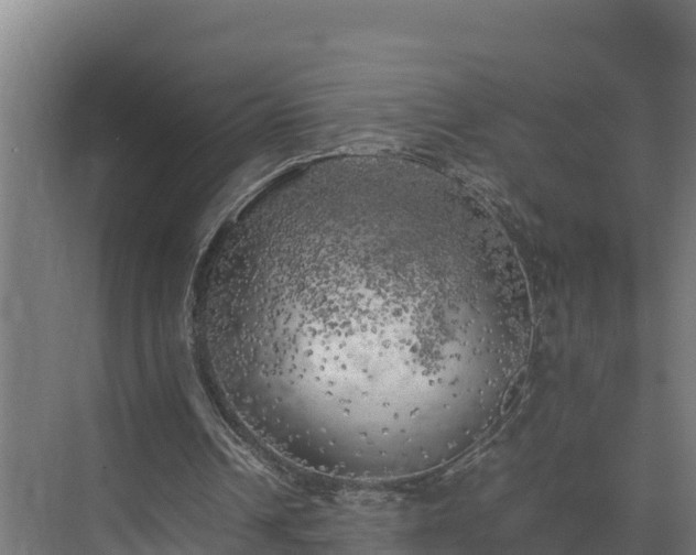 X0000075380242200609151736