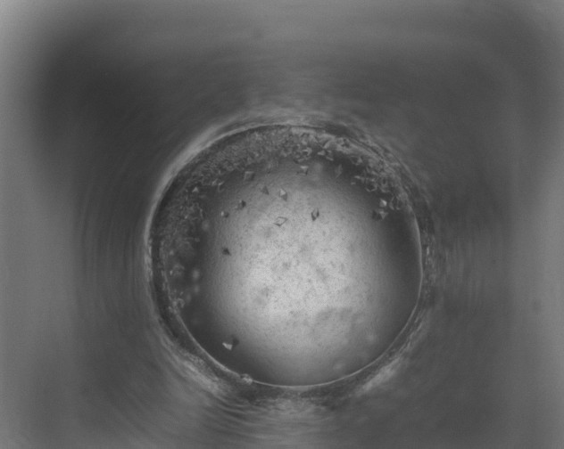 X0000075380246200609151736