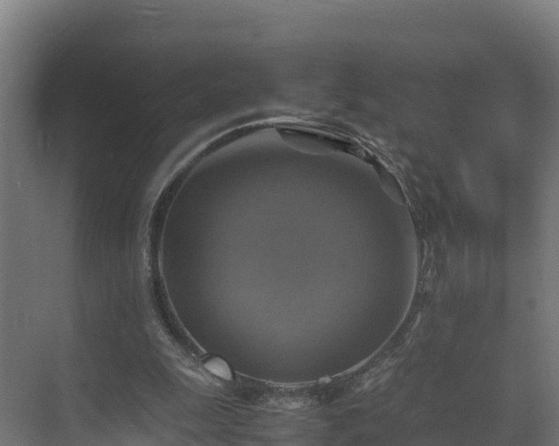 X0000075380247200609151736