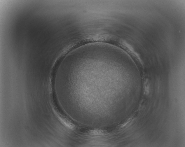 X0000075380250200609151736