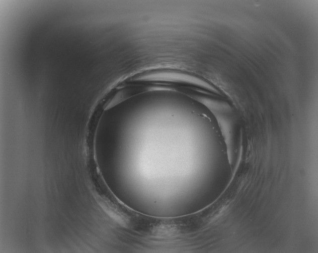 X0000075380252200609151736