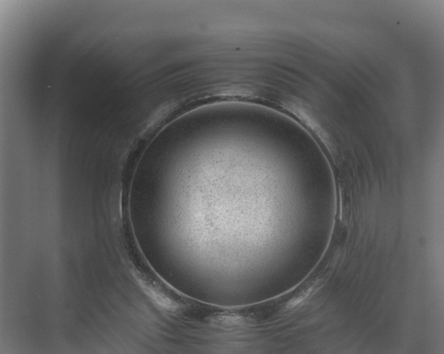 X0000075380253200609151736