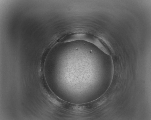 X0000075380261200609151736